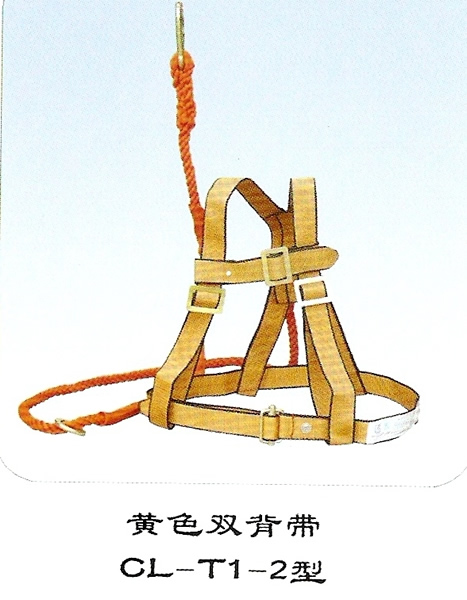 点击查看大图！