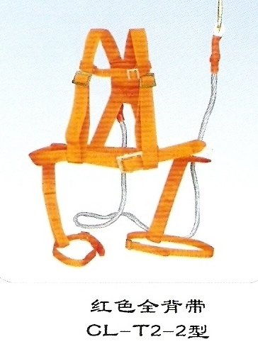 点击查看大图！